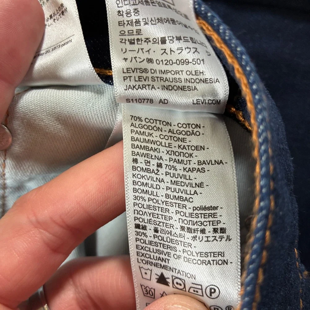 Levis levi strauss